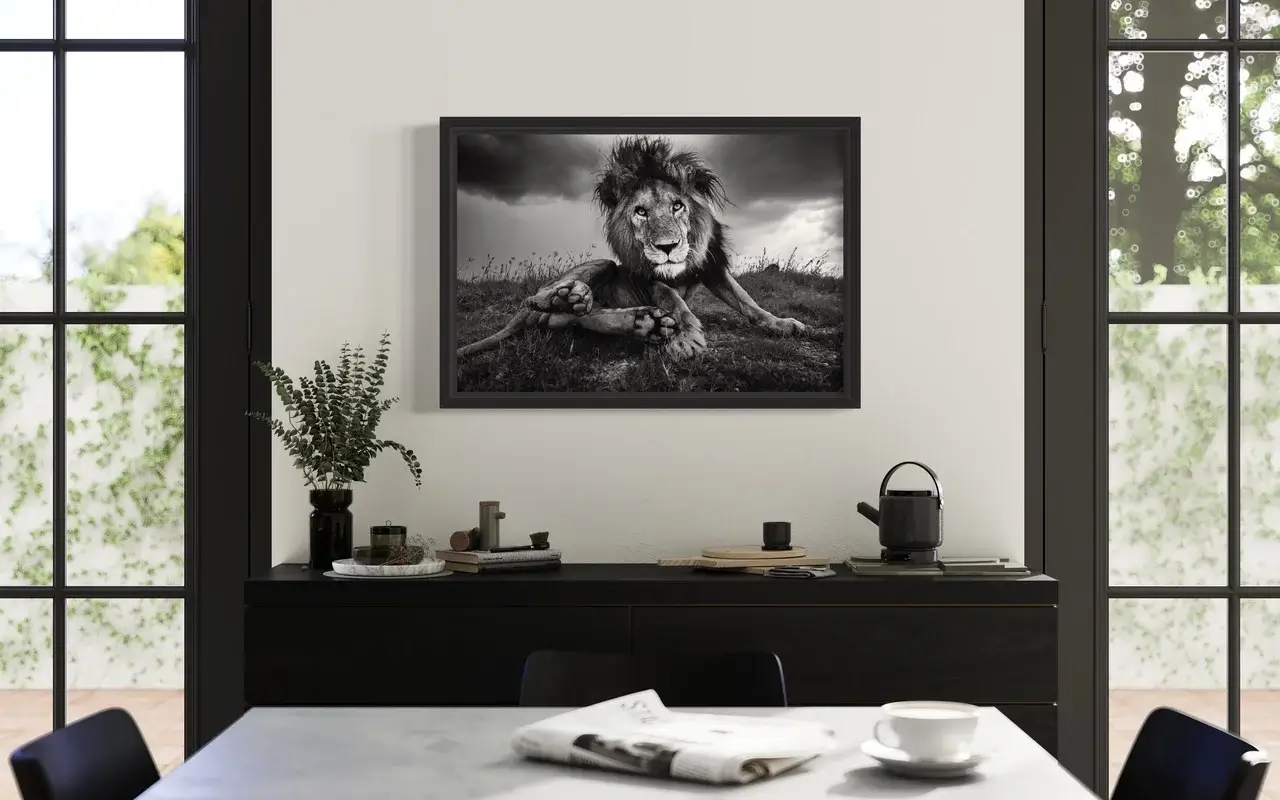 Photographie animalière d'un lion en situation