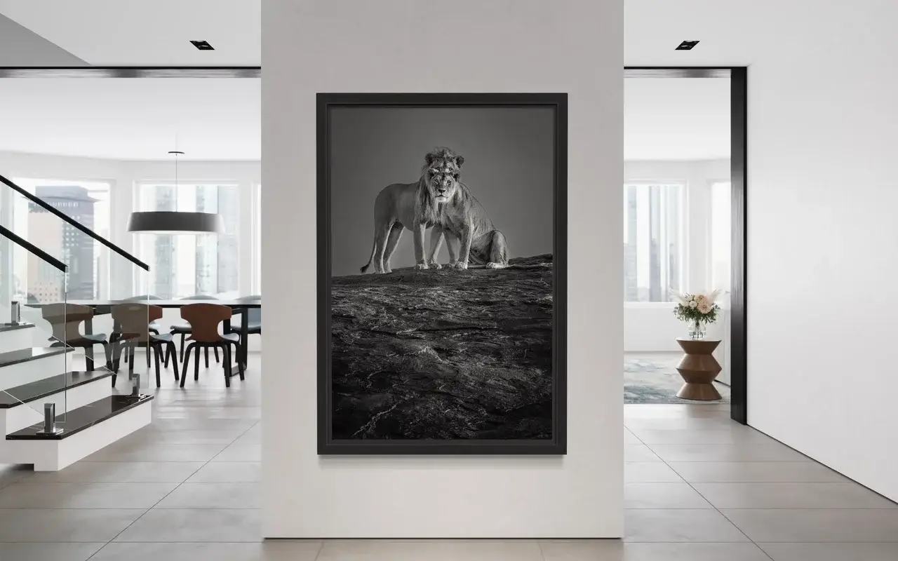 Photographie animalière de lions en situation