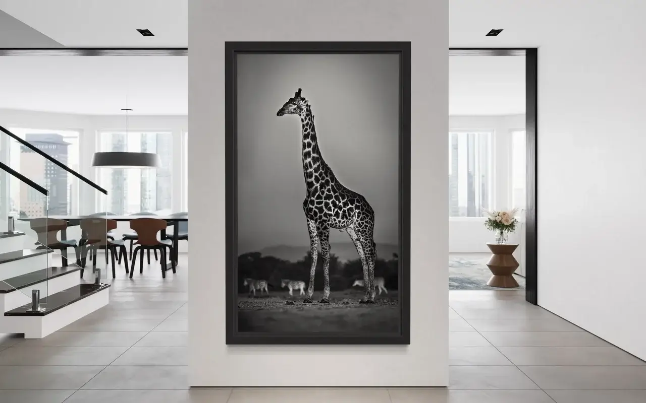 Photographie animalière d'une girafe en situation