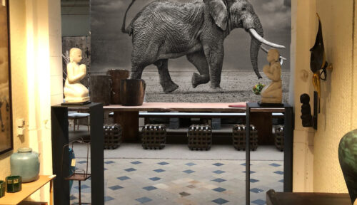 Exposition au showroom Jean Michiels - Bruxelles