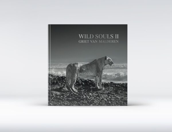 Wild Souls II - Afbeelding 2