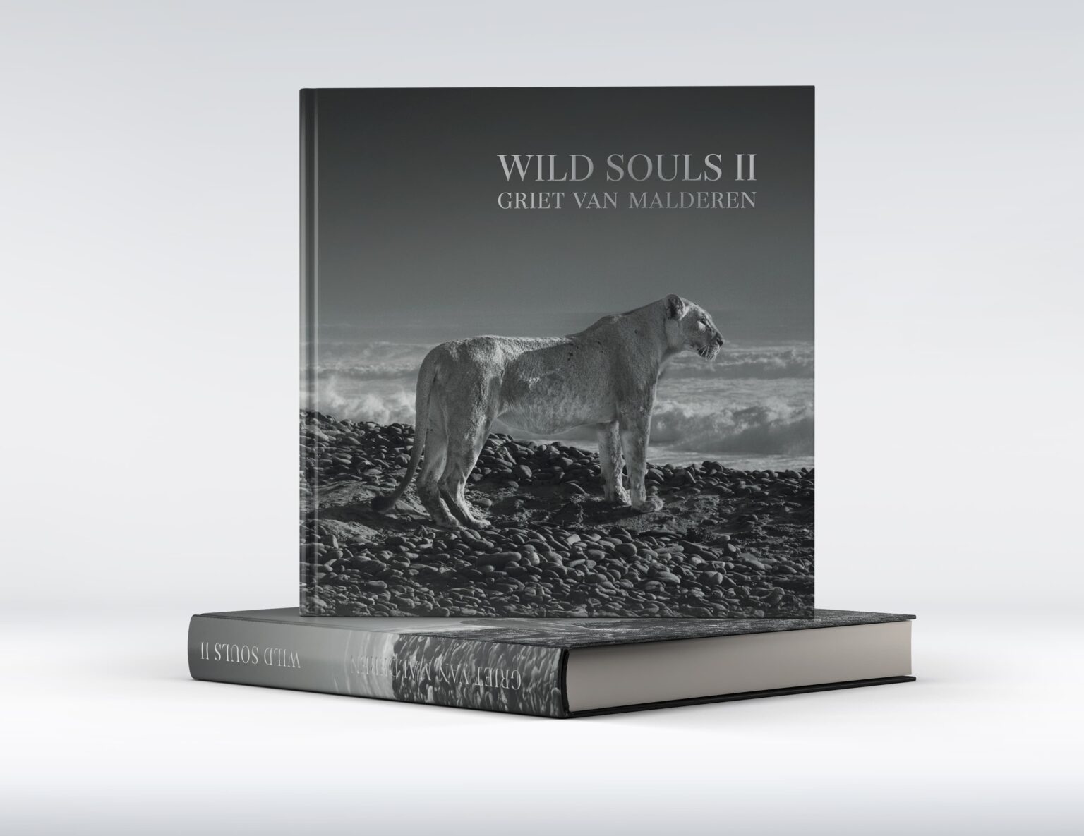 Bundel - Wild Souls II & Desert Lion Magazine