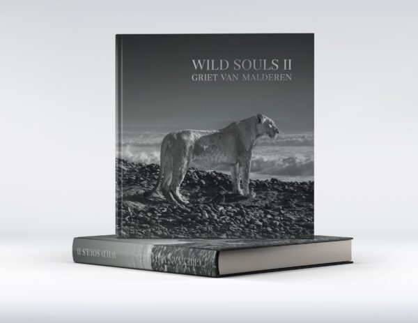 Wild Souls II - Afbeelding 4