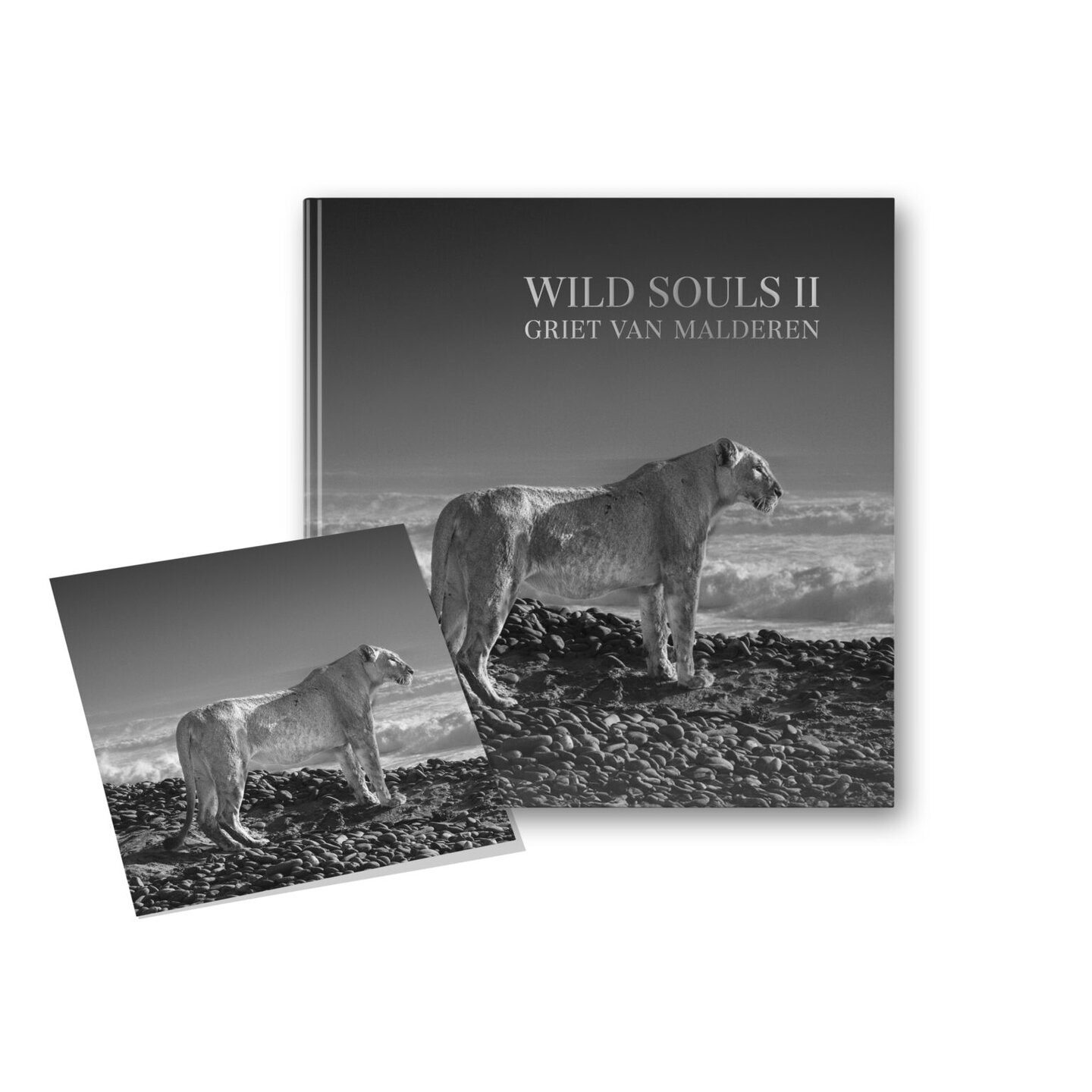 Wild Souls II