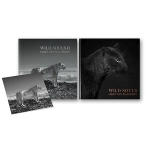Offre groupée - Wild Souls l & ll