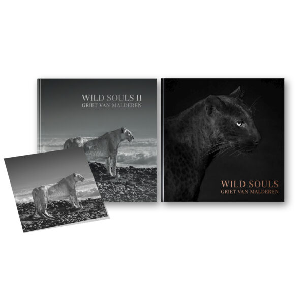 Bundel - Wild Souls l & ll
