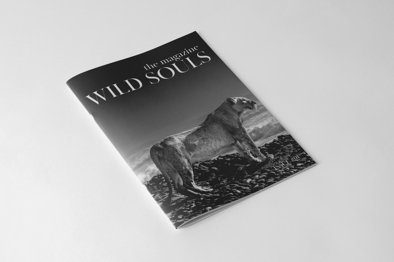 Desert Lion Magazine – A3 Collector’s Edition<br>