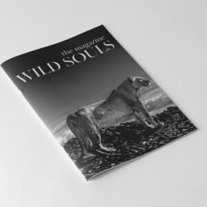 Magazine Lions du Désert – Édition Collector A3<br>